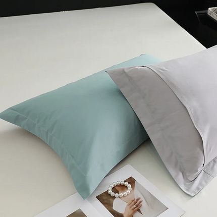 91家纺网 家纺一手货源 找家纺 （总）莱阁亿 2025秋冬新款高支高密全棉纯棉磨毛双拼纯色单枕套 枕套单件