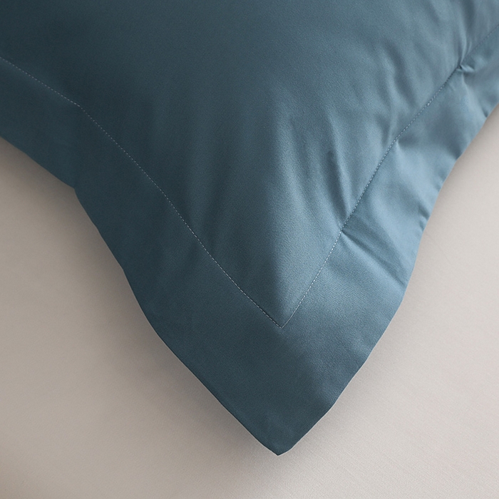 91家纺网 家纺一手货源 找家纺 莱阁亿 2025秋冬新款高支高密全棉纯棉磨毛双拼纯色单枕套 枕套单件 湖兰