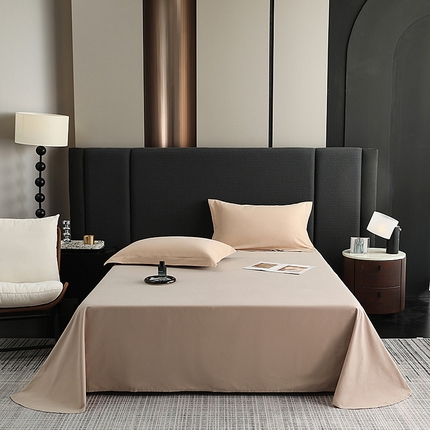 莱阁亿 2025秋冬新款高支高密全棉纯棉磨毛双拼纯色单床单床单单件 可可棕