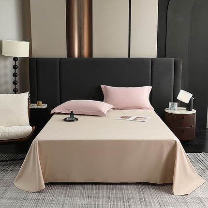 莱阁亿 2025秋冬新款高支高密全棉纯棉磨毛双拼纯色单床单床单单件 灰紫