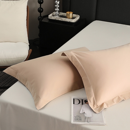 莱阁亿 2025秋冬新款高支高密全棉纯棉磨毛双拼纯色单枕套 枕套单件 糖粉&拿铁