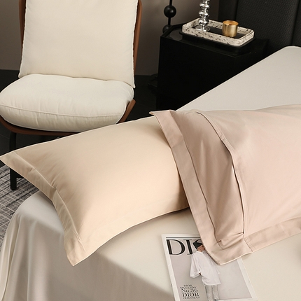 莱阁亿 2025秋冬新款高支高密全棉纯棉磨毛双拼纯色单枕套 枕套单件 巧可力&可可棕