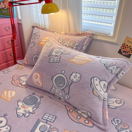 91家纺网 家纺一手货源 找家纺 韩巢家纺 2024新款雪花绒枕套一对装 星际穿越