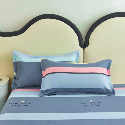 91家纺网 家纺一手货源 找家纺 （总）鑫缘 2025新款印花植物羊绒加厚磨毛单枕套