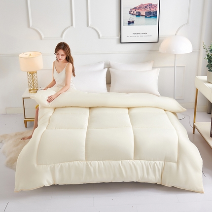 （总）被多多 2024新款磨毛纯色冬被