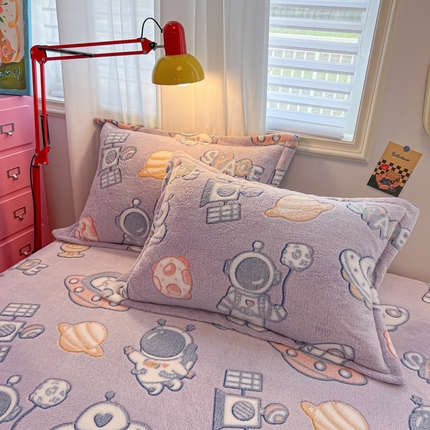 韩巢家纺 2024新款雪花绒枕套一对装 星际穿越