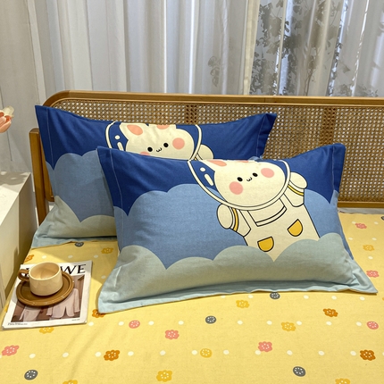 91家纺网 家纺一手货源 找家纺 （总）丝芙妮家居（原乐视家纺） 2024新款全棉磨毛多规格AB版单品套件系列（第二波）--单枕套