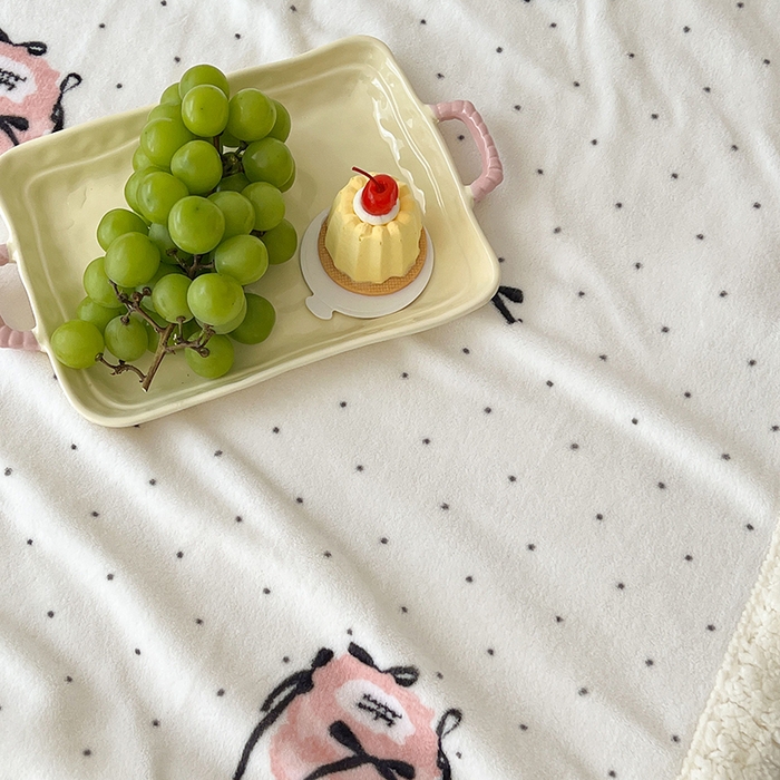 91家纺网 家纺一手货源 找家纺 昔可家纺 2024新款羊羔绒牛奶绒毛毯系列（三）-场景二-ins风系列 芭蕾蛋糕