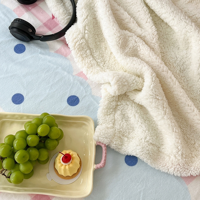 91家纺网 家纺一手货源 找家纺 昔可家纺 2024新款羊羔绒牛奶绒毛毯系列（三）-场景二-少女风系列 芭蕾美学