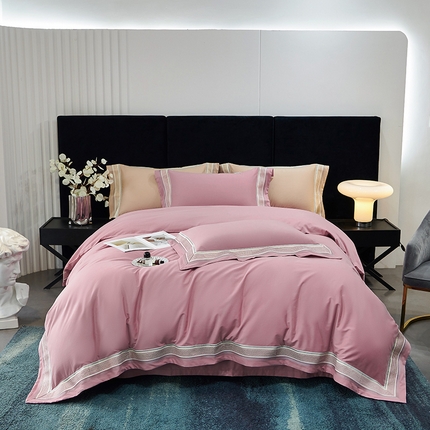 榻尚家居 2024新品 纯棉全棉磨毛抗菌磨毛秋冬加厚刺绣四件套伊卡芙（非会员+20） 伊卡芙 豆沙