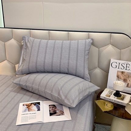 91家纺网 家纺一手货源 找家纺 （总）春皖家纺 2025新款原棉磨毛回暖系列风格1-枕套