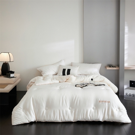 91家纺网 家纺一手货源 找家纺 （总）头等舱 2025新款天丝棉A类提花（彩丝）立体20大豆抗菌秋冬被