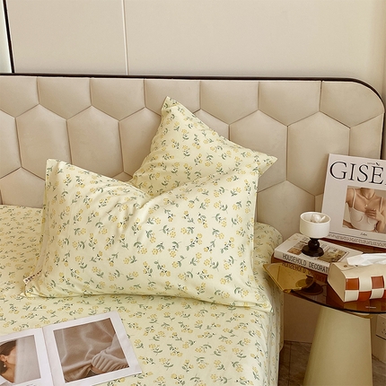 91家纺网 家纺一手货源 找家纺 （总）春皖家纺 2025新款原棉磨毛回暖系列风格1-枕套