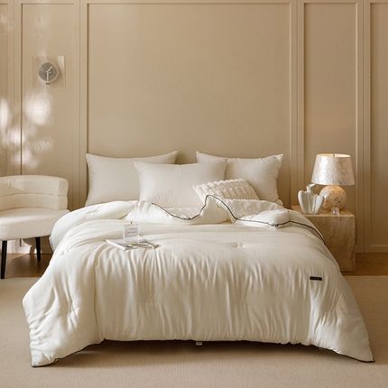 米洛贝伊 2024新款轻奢天丝银离子春秋被冬被被芯被子 雅韵白