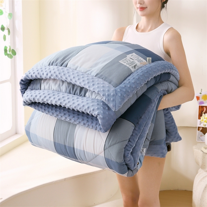 91家纺网 家纺一手货源 找家纺 云家 2024新款A类全棉豆豆绒被子被芯纯棉豆豆被冬被大豆被 弗伦天空