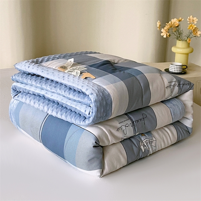 91家纺网 家纺一手货源 找家纺 云家 2024新款A类全棉豆豆绒被子被芯纯棉豆豆被冬被大豆被 弗伦天空