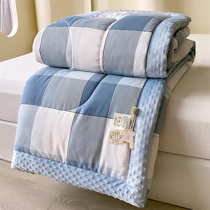 91家纺网 家纺一手货源 找家纺 云家 2024新款A类全棉豆豆绒被子被芯纯棉豆豆被冬被大豆被 弗伦天空