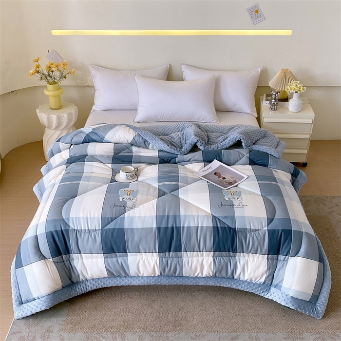 91家纺网 家纺一手货源 找家纺 云家 2024新款A类全棉豆豆绒被子被芯纯棉豆豆被冬被大豆被 弗伦天空