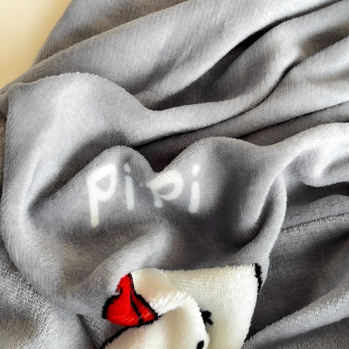 91家纺网 家纺一手货源 找家纺 艾橙家纺 2024新款A类加厚牛奶绒印花床笠 皮皮熊（灰）