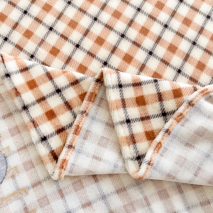 91家纺网 家纺一手货源 找家纺 艾橙家纺 2024新款A类加厚牛奶绒印花床单 格子熊猫