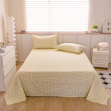 91家纺网 家纺一手货源 找家纺 （总）春皖家纺 2025新款原棉磨毛回暖系列风格1-单床单