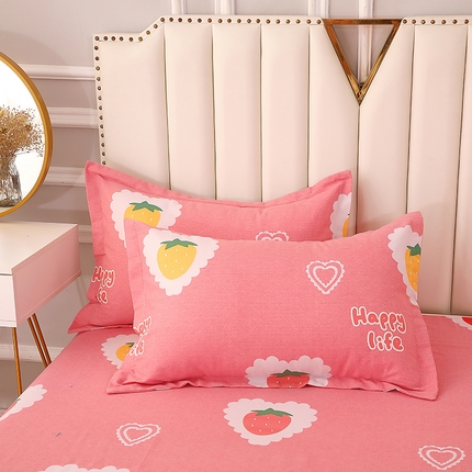 91家纺网 家纺一手货源 找家纺 （总）贝兰仙奴 2024新款利兹系列磨毛多规格单枕套