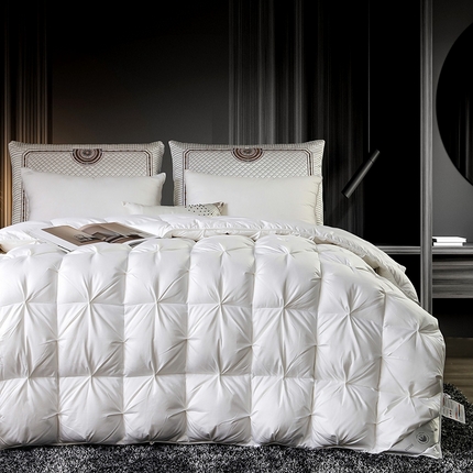 兰言诺羽绒被 2025新款雅韵-全棉柔赛丝纽花羽绒被 白色