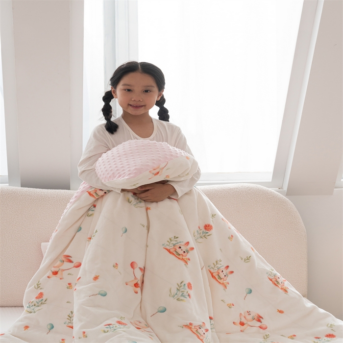 91家纺网 家纺一手货源 找家纺 艾佳宝贝 2024牛奶绒豆豆绒可拆式多功能防踢被 防踢被-春日游玩