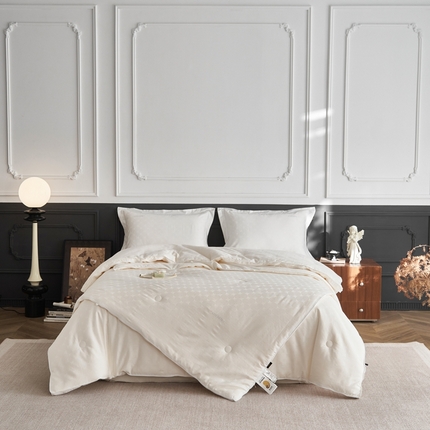 丽笙被芯 2024新款轻奢提花功能纤维被系列-星芒35大豆拉链子母被 子母被