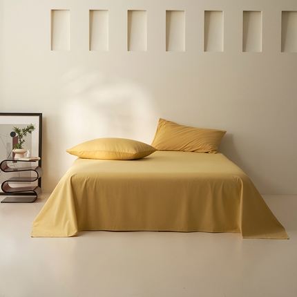 91家纺网 家纺一手货源 找家纺 （总）2024新款全棉加厚磨毛纯色单床单系列