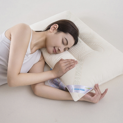 91家纺网 家纺一手货源 找家纺 （总）麦肯锡 2024新款小硅蜜亲柔枕-模特图48*74cm