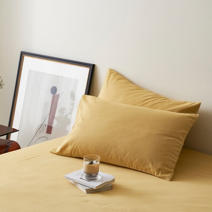 91家纺网 家纺一手货源 找家纺 （总）2024新款全棉加厚磨毛纯色单枕套系列