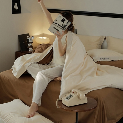 EH家居 2024新款见山系列全棉简绣双拼四件套 见山-云咖