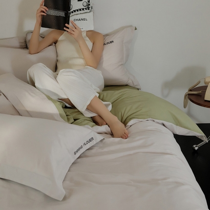 EH家居 2024新款见山系列全棉简绣双拼四件套 见山-云绿