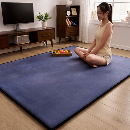 2024新款高克重牛奶绒海绵地垫 海蓝