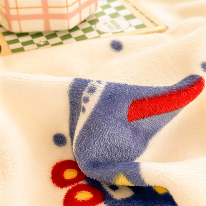 91家纺网 家纺一手货源 找家纺 我心家纺 2024新款高克重羊羔绒毛毯毯子 小飞机