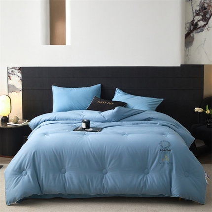 91家纺网 家纺一手货源 找家纺 （总）头等舱 2025新款全棉A类立体20大豆抗菌秋冬被