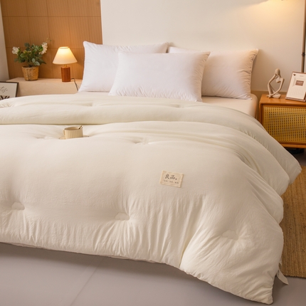 91家纺网 家纺一手货源 找家纺 （总）21度C 2024新款云朵大豆亲肤冬被被子被芯