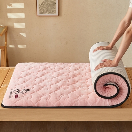 91家纺网 家纺一手货源 找家纺 （总）2024新款牛奶绒棉花床垫【床垫遮盖物】-学生款