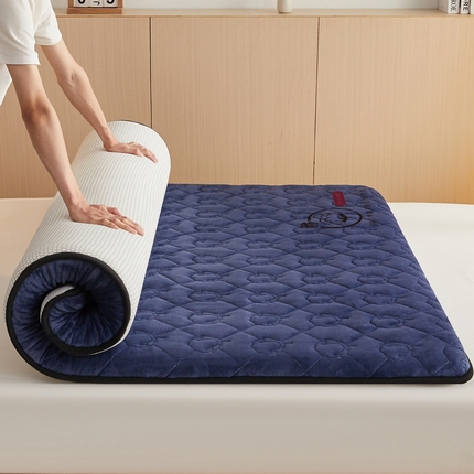 91家纺网 家纺一手货源 找家纺 （总）2024新款牛奶绒棉花床垫【床垫遮盖物】-成人款