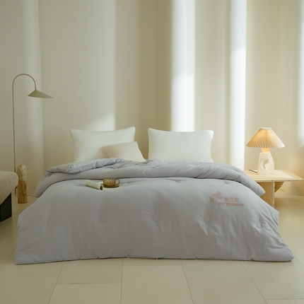 91家纺网 家纺一手货源 找家纺 丽卡家纺 2024新款热艾家春秋被 灰色