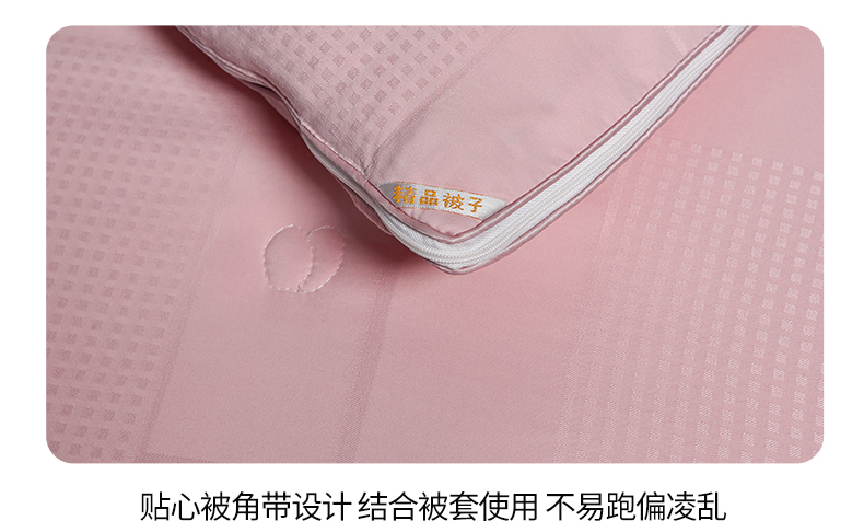 91家纺网 家纺一手货源 找家纺 （总）爱衫妮 2025新款A类全棉提花蚕丝被春秋子母被