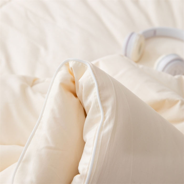 91家纺网 家纺一手货源 找家纺 2025新款豆好鲜大豆纤维被加厚冬被春秋被子被芯子母被带子母扣