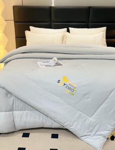 91家纺网 家纺一手货源 找家纺 爱来伊家纺 2024新款豆好鲜大豆纤维被加厚冬被春秋被子被芯子母被带子母扣 豆好鲜大豆被-浅灰