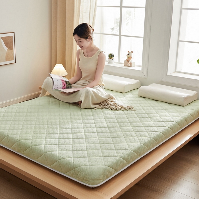 91家纺网 家纺一手货源 找家纺 2024新款A类华夫格大豆纤维抗压床垫【床垫遮盖物】 单边华夫格-清新绿