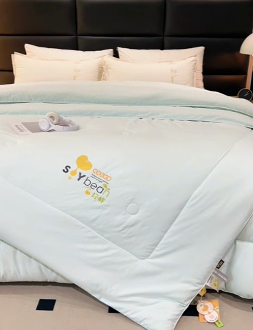 91家纺网 家纺一手货源 找家纺 爱来伊家纺 2024新款豆好鲜大豆纤维被加厚冬被春秋被子被芯子母被带子母扣 豆好鲜大豆被-浅兰