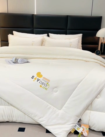 91家纺网 家纺一手货源 找家纺 爱来伊家纺 2024新款豆好鲜大豆纤维被加厚冬被春秋被子被芯子母被带子母扣 豆好鲜大豆被-奶白