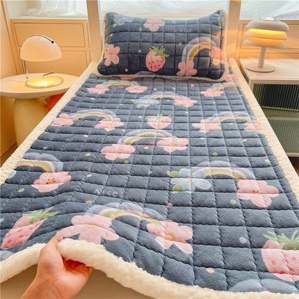 91家纺网 家纺一手货源 找家纺 喜居 2024新款印花牛奶绒床垫床褥垫学生宿舍床垫 彩虹桥