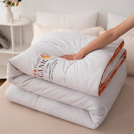 爱来伊家纺 2024新款火山绒大豆被立体边大豆纤维冬被被子被芯春秋被 火山绒大豆被-浅灰