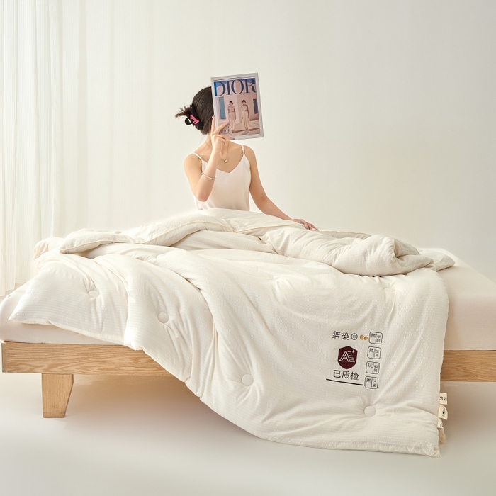 91家纺网 家纺一手货源 找家纺 （总）仁凯家纺 2024新款无染华夫格大豆被冬被春秋被家用被子被芯(提供买家秀)-风格一